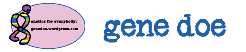 Screen Shot 2017-03-30 at 11.05.10 AM